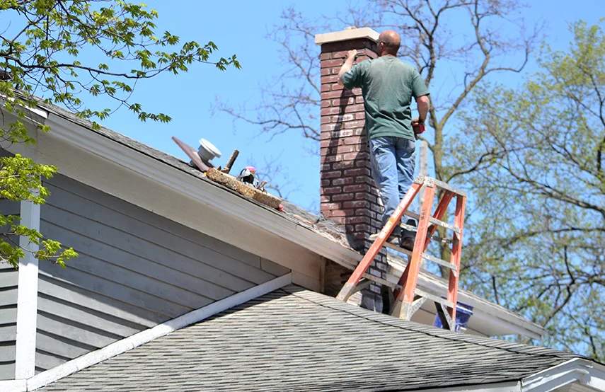 Chimney & Fireplace Inspections Services in Natchez, MS
